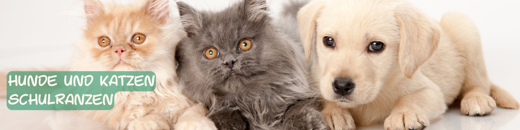 Hunde & Katzen Schulranzen