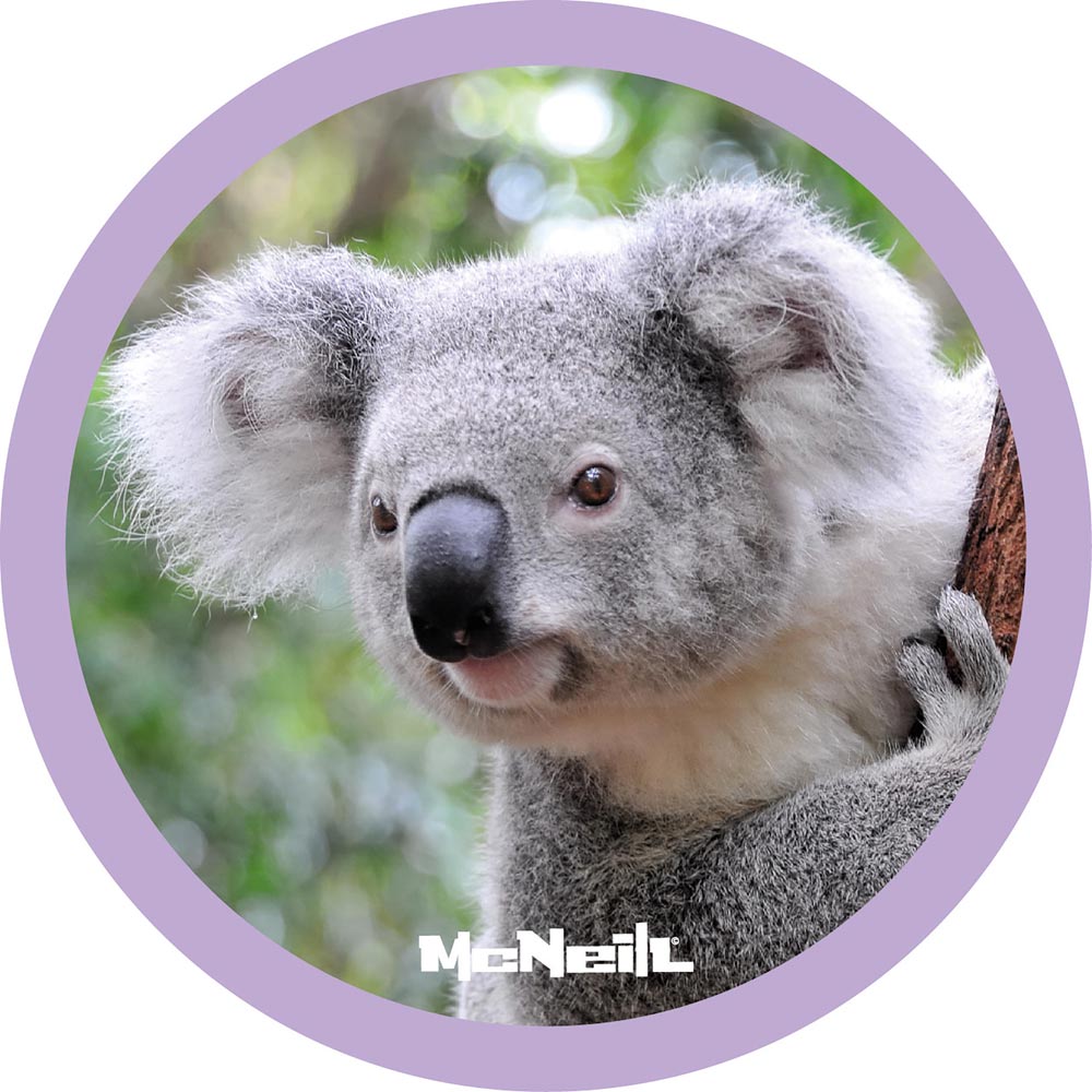 McNeill McAddy Koala Wechselmotiv