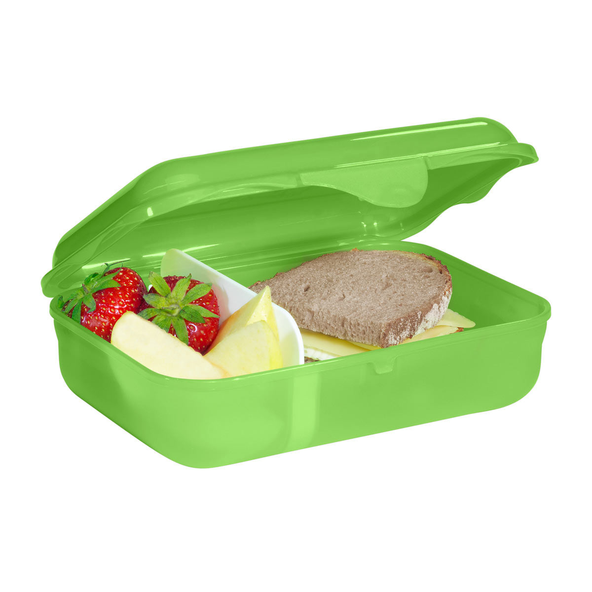 Step by Step Lunchbox Brotzeitbox Dino Targo